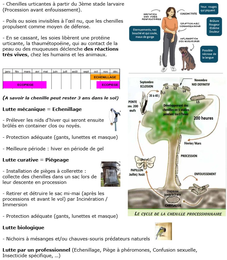 2025_02_05_Lutte_chenille_processionnaire.jpg